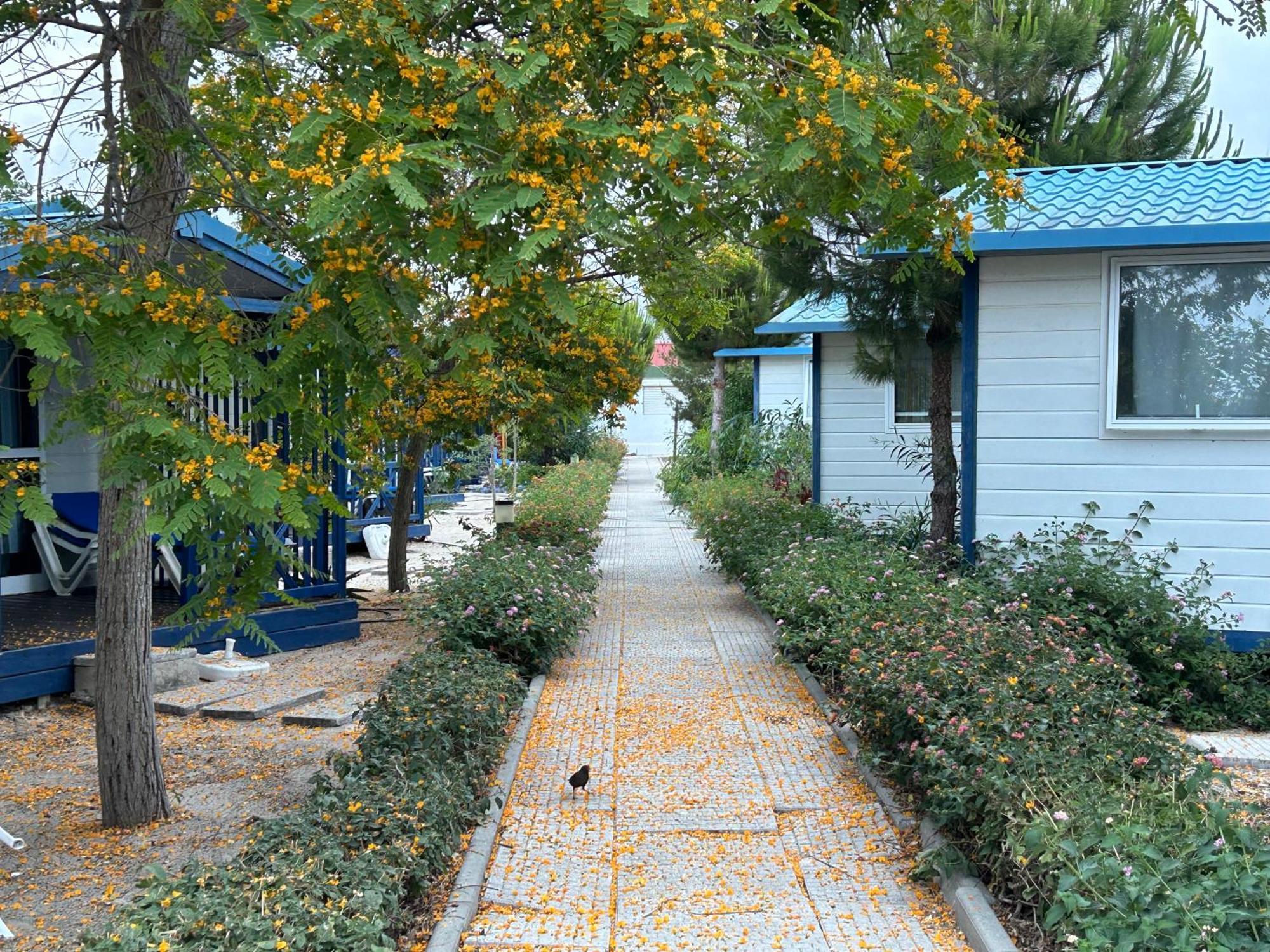 Orbitur Ilha de Armona Olhão Exterior foto